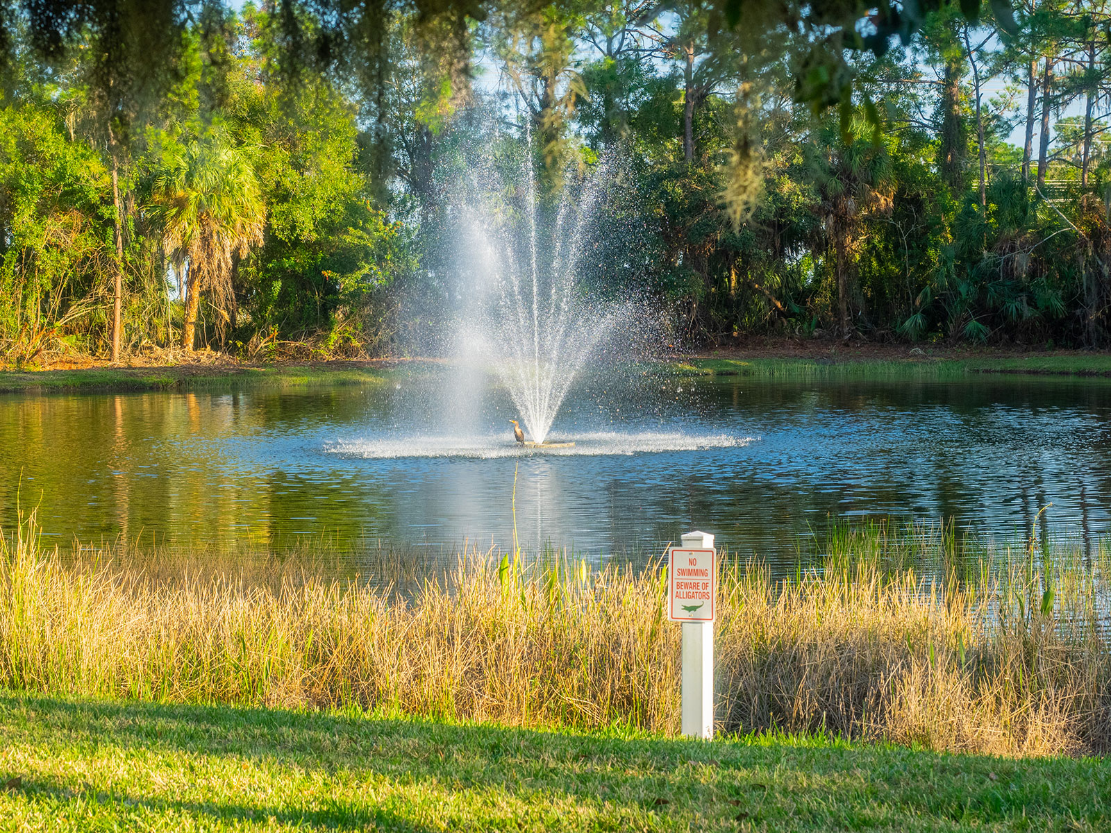 Retention Pond Maintenance Checklist - Your Work Order