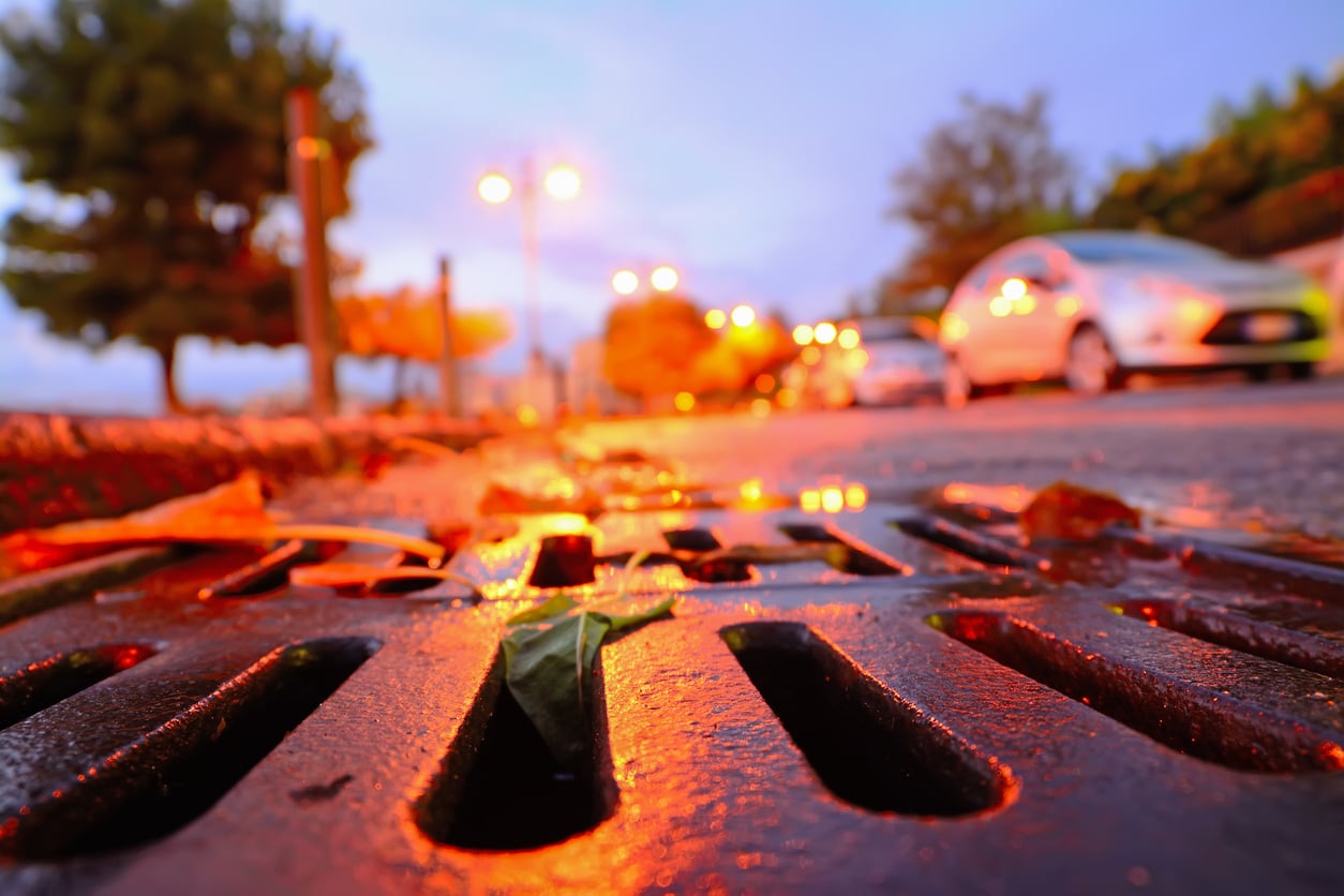 Leaves and debris clogging up a business parking lot that is in desperate need of jet vac cleaning services.